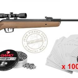 Pack carabine à plombs 4,5 mm GAMO Big Cat Hunter (19,9 Joules) - PROMOTION