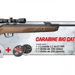 Pack carabine à plombs 4,5 mm GAMO Big Cat Hunter (19,9 Joules) - PROMOTION