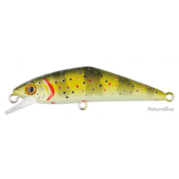 Jerkbait Truite D-CONTACT 72 T1