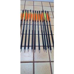 Lot de 12 traits Arrows