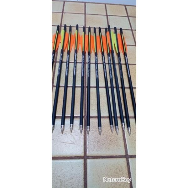 Lot de 12 traits Arrows