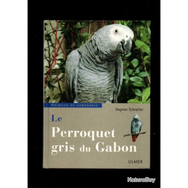 Le Perroquet gris du Gabon de dagmar schratter