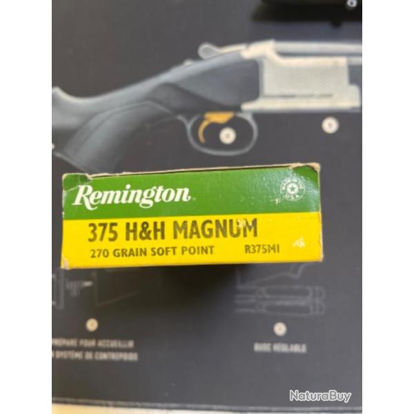 20 balles remington 375 HH 270gr soft point