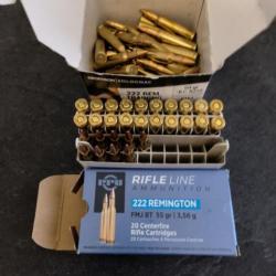 Munitions 222 remington