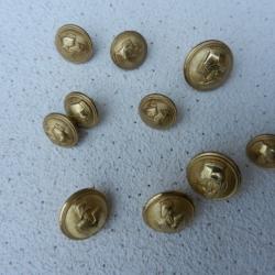 Lot de 10 boutons pour veste militaire du génie