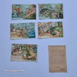 Lot de 6 images Leroux Bonzel sur les crocodiles et les lémuriens