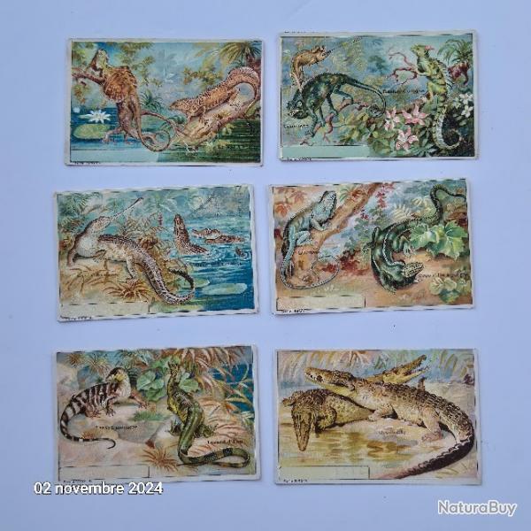 Lot de 6 images Leroux Bonzel sur les crocodiles et les lmuriens