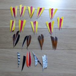 plumes