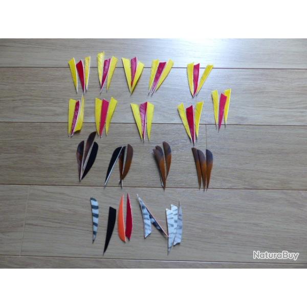 plumes