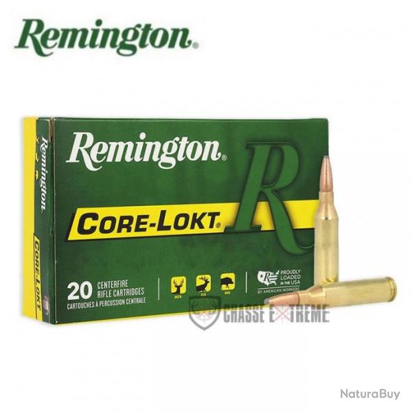 20 Munitions REMINGTON Core Lokt PSP Cal 243 Win 100Gr