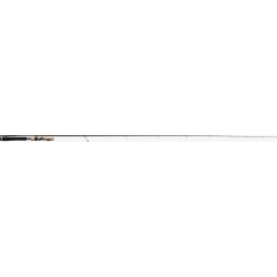 CANNE TENRYU INJECTION FAST FINESS L