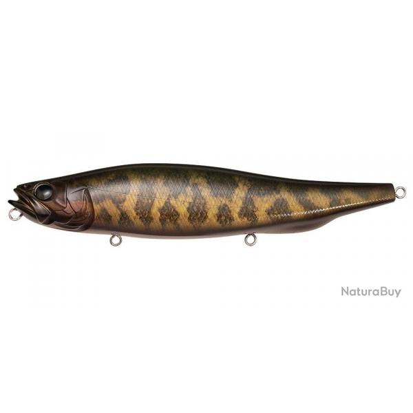 MEGADOG-X - FA SNAKE HEAD