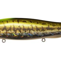 MEGADOG-X - GG INDICATOR BASS