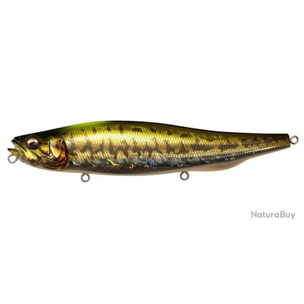 MEGADOG-X - GG INDICATOR BASS