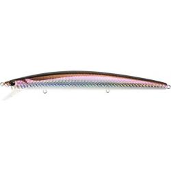 TIDE MINNOW LANCE 160S AFA0116 LANCE QUEEN