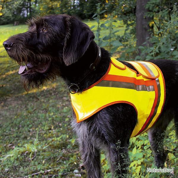 BF 24 ! Gilet de signalisation pour grands chiens