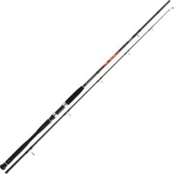 Canne à pêche Daiwa megaforce big fish 2,40m 250-500gr