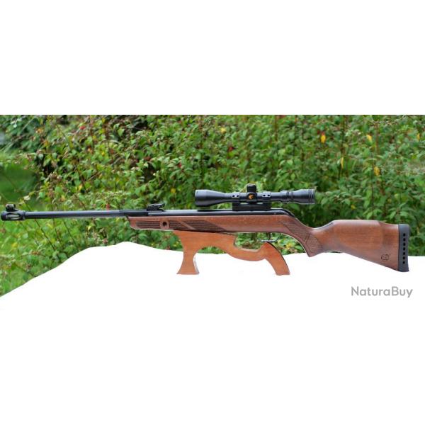 Carabine air comprim GAMO HUNTER  440-AS - EBR24GAM001