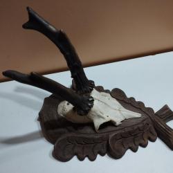 TROPHEE CHEVREUIL BROCARD RAVALANT TAXIDERMIE CHASSE