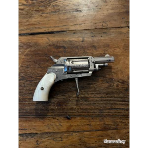 Revolver Velodog 6 long