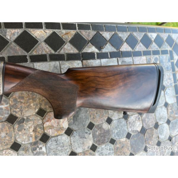 Benelli raffaello acadmia