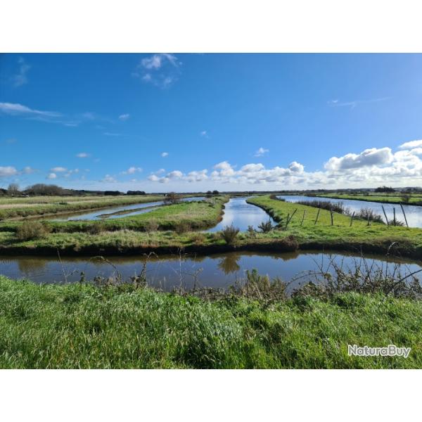 Terrain de plus de 2 hectares - Saint Hilaire de Riez (85270)