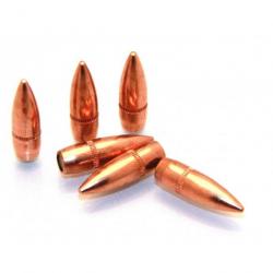 Armscor - 100 Bullets (projectiles) Cal .223 Rem 62 grs FMJ - ARMSCOR22362