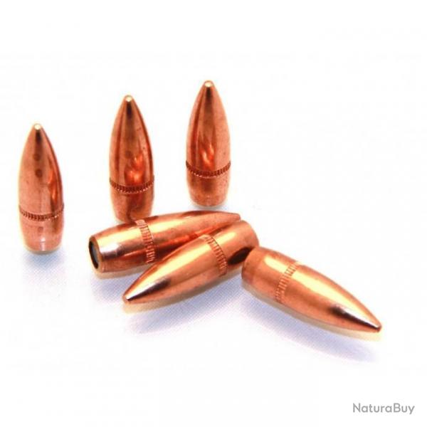 Armscor - 100 Bullets (projectiles) Cal .223 Rem 62 grs FMJ - ARMSCOR22362