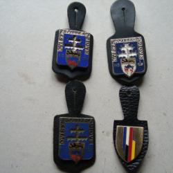 INSIGNES MILITAIRES 110° REGIMENT D INFANTERIE