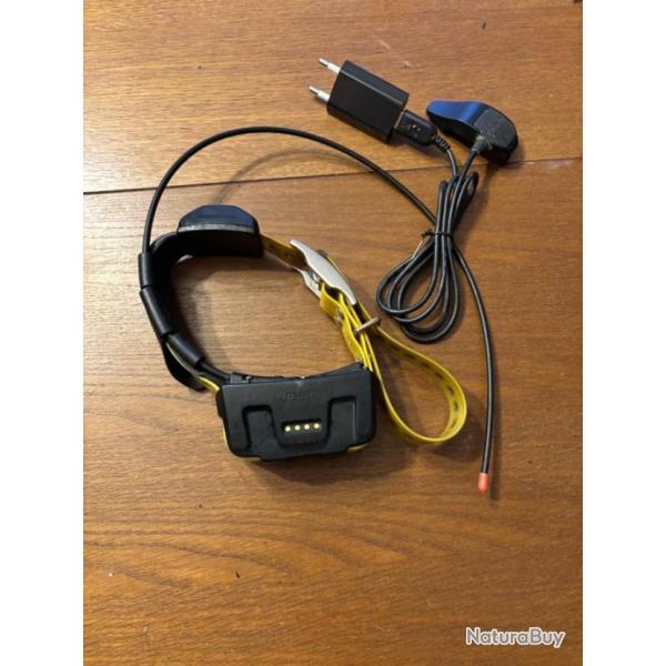 Collier garmin dc 50 fr