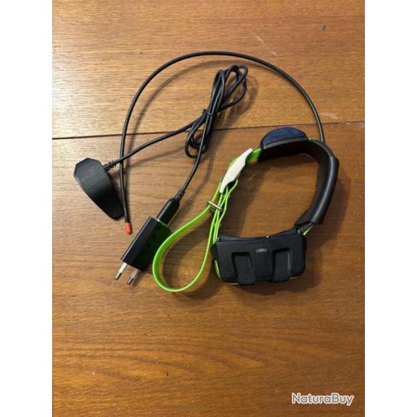 Collier gps garmin dc50 fr