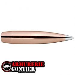 OGIVES HORNADY 6MM 243 110GR A-TIP X100