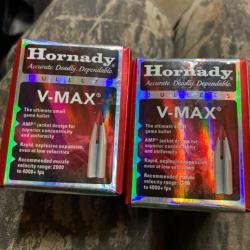 Ogives Hornady  22 cal 53 Gr V-MAX molycoatees