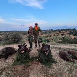 La chasse du sanglier en Tunisie avec Un Monde De Chasse