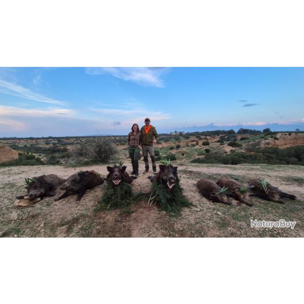 La chasse du sanglier en Tunisie avec Un Monde De Chasse