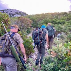 La chasse du Mouflon en Croatie avec un monde de chasse