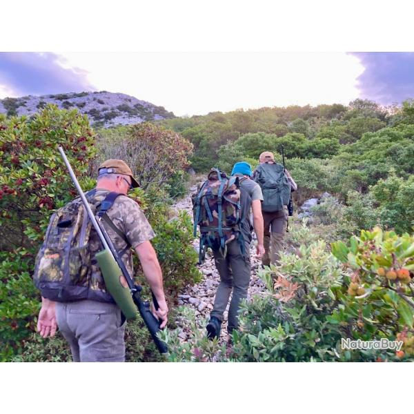 La chasse du Mouflon en Croatie avec un monde de chasse