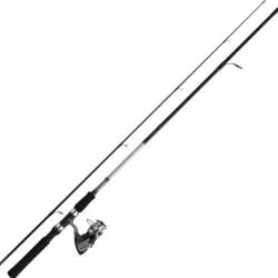 Ensemble Lancer Daiwa Sweepfire + Df