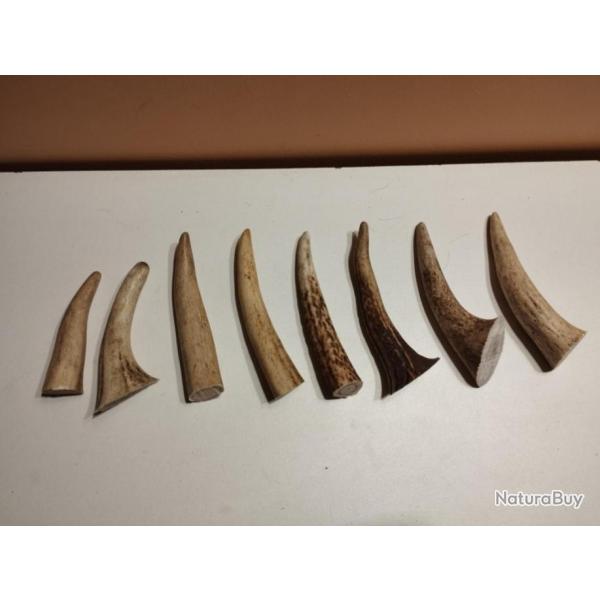 1 LOT BOIS CERF 8 ANDOUILLERS DE 8 A 12CM CHIEN ARTISANAT
