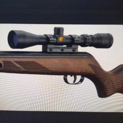 Carabine a plomb gamo hunter 440 as et lunette 3-9x40 wr