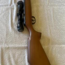 Vends carabine à air comprimé 19,9 Joules Remington express