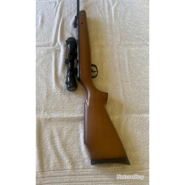 Vends carabine  air comprim 19,9 Joules Remington express