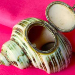 SUPERBE COQUILLAGE EXOTIQUE TRANSFORME EN COFFRET POUR PIERRES PRECIEUSES-- COLLECTION VITRINE etc-