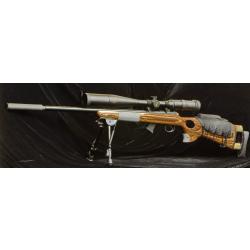 Carabine cz 455 thumbhole 22lr