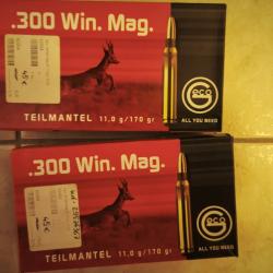 Cartouches 300 WIN MAG