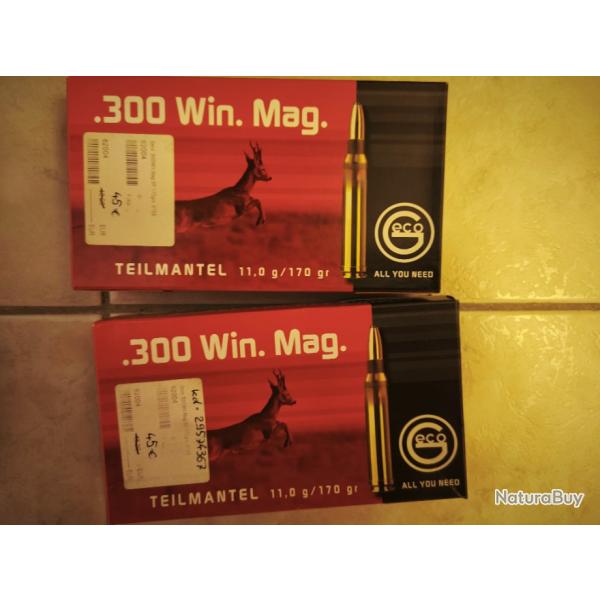 Cartouches 300 WIN MAG