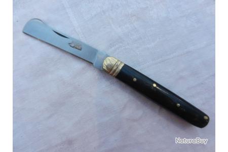 Couteau Pliant Greffoir Manche Bois D'Olivier - Petit Hérisson, Lame 6,5 Cm, Acier Inox