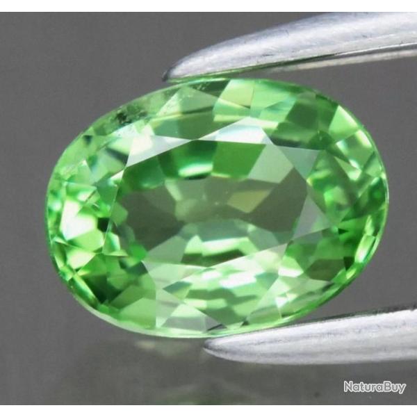 Grenat tsavorite, 0.52 carats, VVS, Tanzanie (non chauff et non trait)