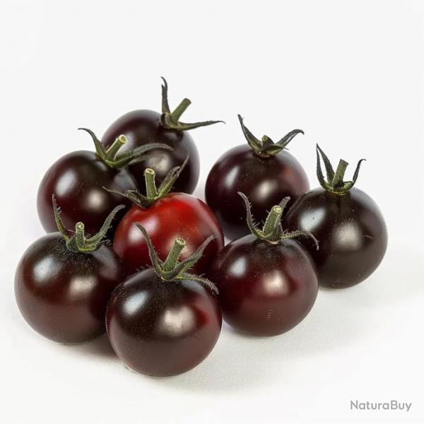 35 Graines de Tomate Cerise Black Cherry - SemiSauvage Permaculture