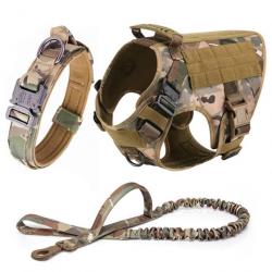 Harnais tactique camouflage pour chien + Laisse + Collier - LIVRAISON GRATUITE